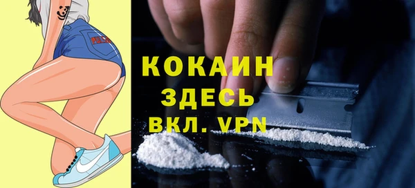 ешки Алексин