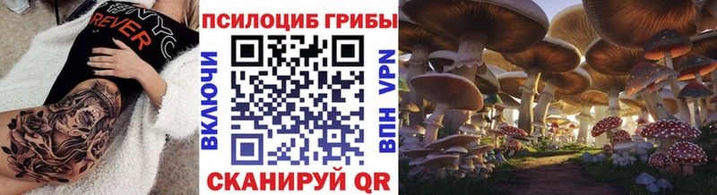 Купить закладки  Новоалтайск  Псилоцибиновые грибы Magic Shrooms 